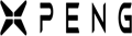 "X MOTORS" Limited Liability Company (LLC)