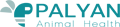 "PALYAN" Limited Liability Company (LLC)